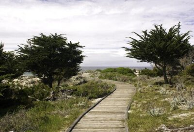 17-Mile Drive Self-Guided Audio Tour from Monterey & Carmel - Download once, then drive without service (and why that matters)