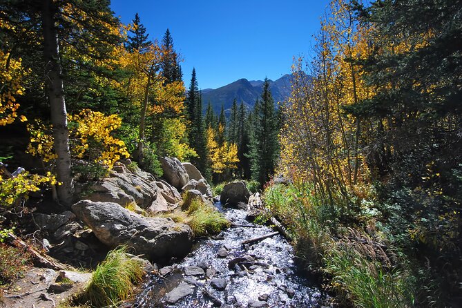 30+ National Parks Self-Guided Driving Tours Bundle - West-Major Highlights: Grand Canyon, Yellowstone, and the Big Guns