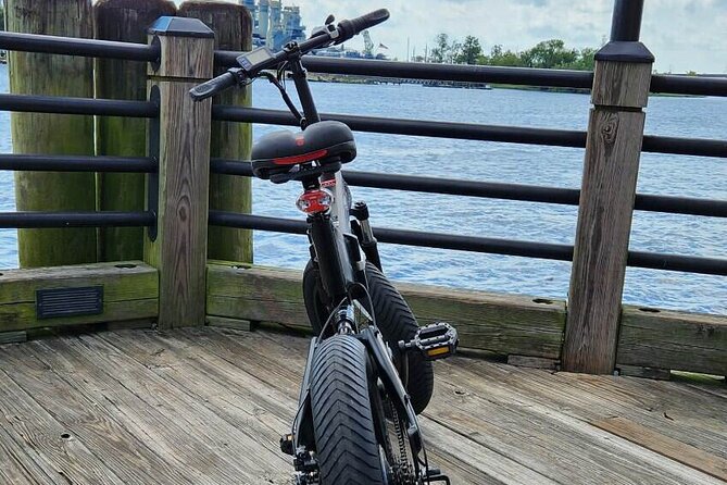 5-Hour Wilmington River to Sea E-Bike Self/Or Guided Tour - Fitness, height, and weight limits you should not ignore