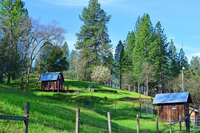 A Highway 49 Drive: A Self-Guided Audio Tour from Placerville to Jackson - Plymouth: the moment the story changes