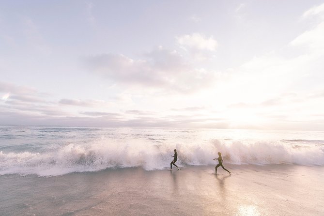 A Local’s Guide to La Jolla’s Sights: A Self-Guided Urban Stroll - Children’s Pool and Ellen Browning Scripps: why this stretch matters