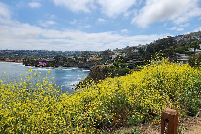 A Seaside Stroll: La Jolla's Hidden Treasures Self-Guided Tour - Timing and pace: how to get the most from your 1–2 hours