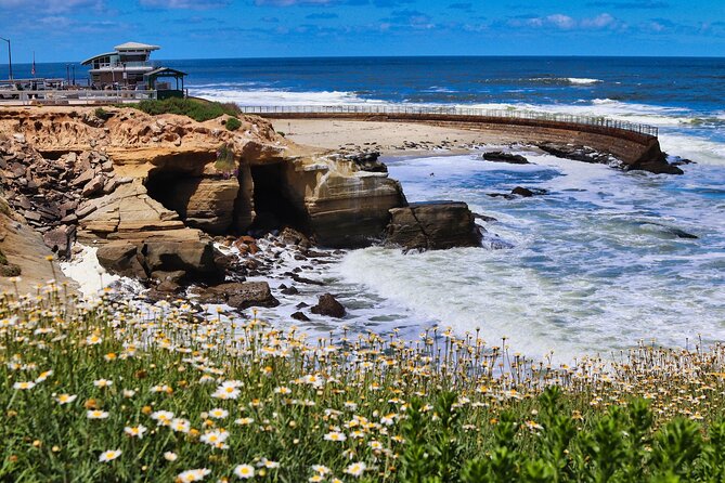 A Seaside Stroll: La Jolla's Hidden Treasures Self-Guided Tour - Practical tips to make it smooth