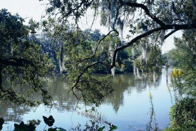 A Walk in the Park: City Park New Orleans Audio Tour - Price and Value: What $9.99 Gets You Here