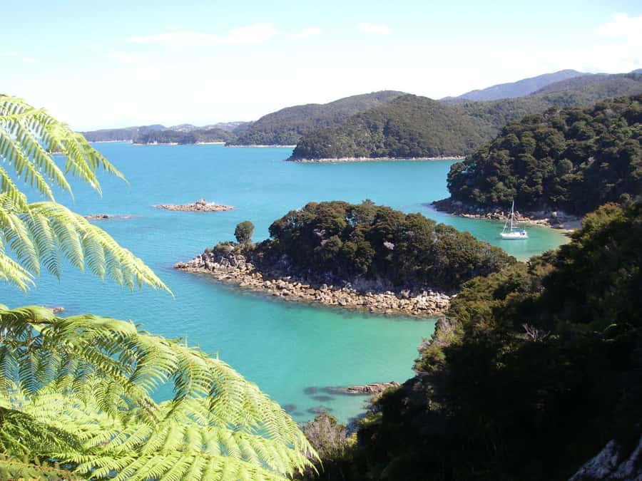 Abel Tasman National Park: Sailing and Self-Guided Walk - Getting There: Marahau, Kaiteriteri, and the 8-Hour Rhythm