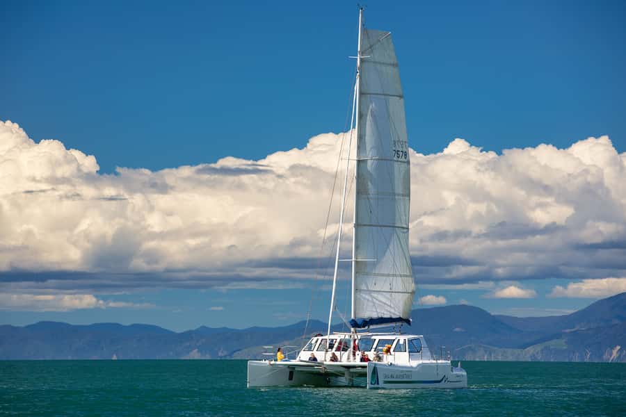 Abel Tasman National Park: Self-Guided Walk & Sailing - Who Should Book This (and Who Might Not)