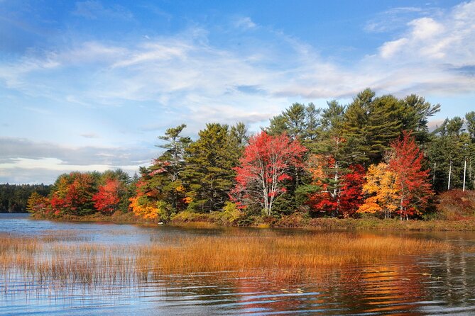 Acadia Mount Desert Island Self-Guided Driving Audio Tour - How the audio tour works: offline, location-triggered, and easy hands-free listening
