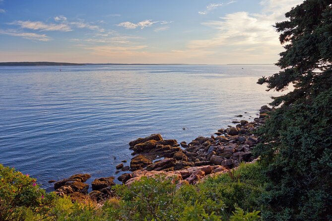 Acadia Mount Desert Island Self-Guided Driving Audio Tour - Season notes: what works best in winter vs. warmer months