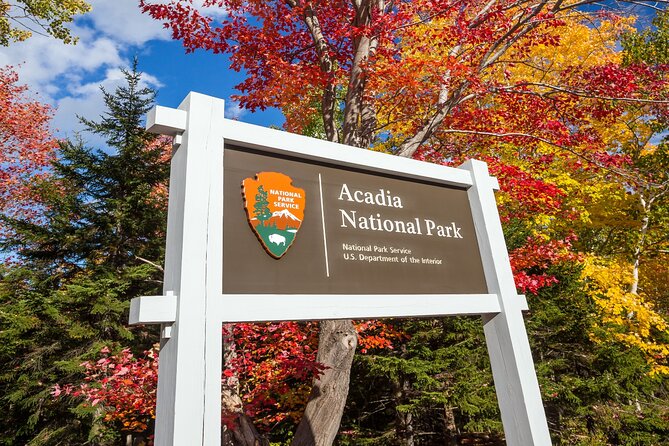 Acadia National Park & Bar Harbor Self-Guided Driving & Walking Tour - Price and value: what $24.99 gets you in Acadia