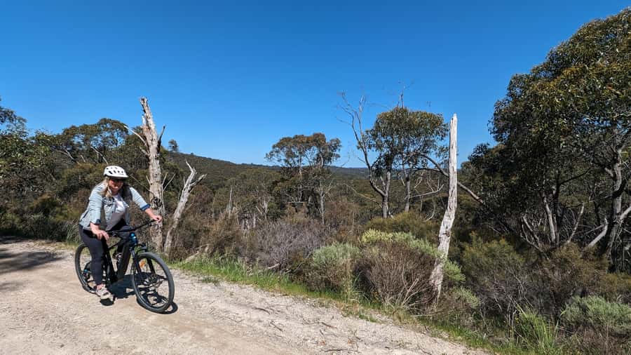Adelaide Hills: E-Bike Self-Guided Tour with Coffee and Cake - Following the GPS: less navigation, more riding confidence