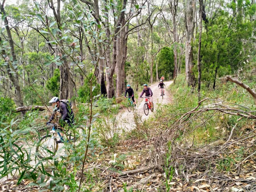 Adelaide Hills: E-Bike Self-Guided Tour with Coffee and Cake - Route options and what they really mean for your effort