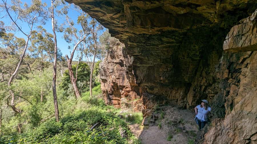 Adelaide Hills: E-Bike Self-Guided Tour with Coffee and Cake - Cleland and Mount Lofty: where the views justify the climbs