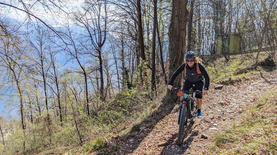 Adelaide Hills: E-Bike Self-Guided Tour with Coffee and Cake - What the day feels like on the trail: pace, safety, and control