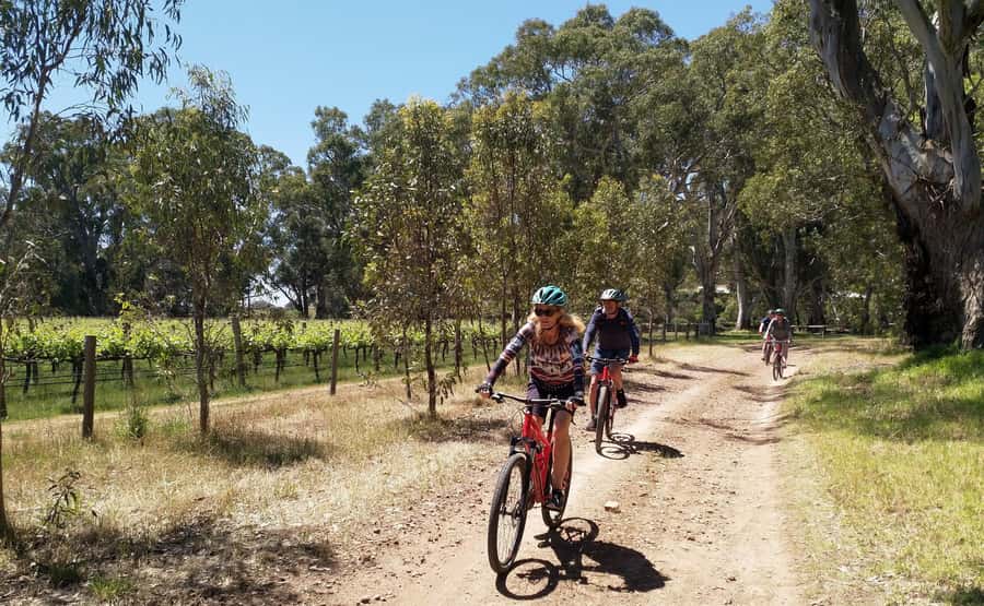 Adelaide Hills: Self-guided E-Bike wine tour with Lunch - Choosing Your Adelaide Hills Plan: Mt Lofty vs. Mark Olliphant