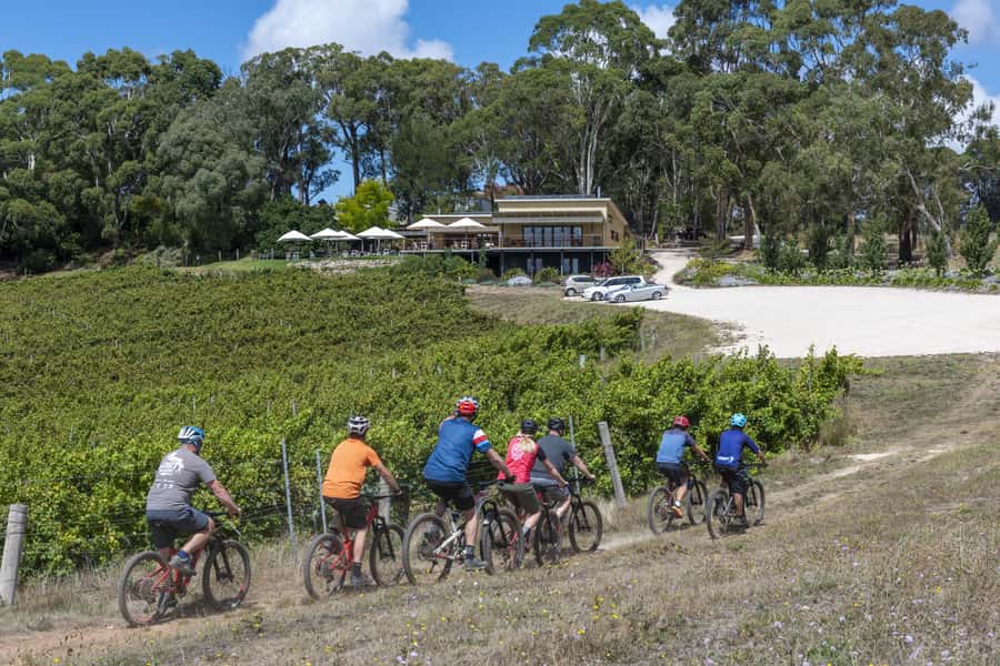 Adelaide Hills: Self-guided E-Bike wine tour with Lunch - Adding a Second Winery (If You Still Have Energy)