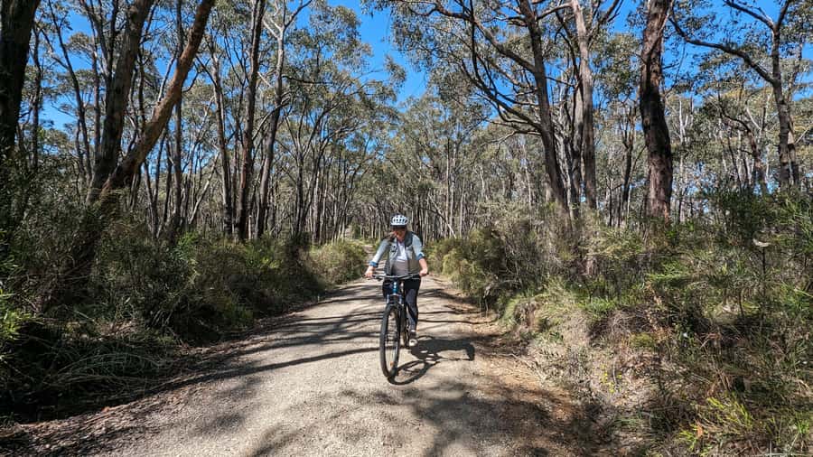 Adelaide Hills: Self-guided E-Bike wine tour with Lunch - The Ride Back: Dirt Tracks, Backroads, and a Final Descent into Belair