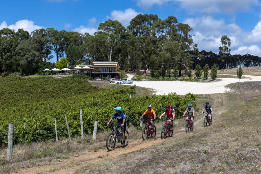 Adelaide Hills: Self-guided E-Bike wine tour with Lunch - The Big Reality Check: This Is Not a Casual Bike Day