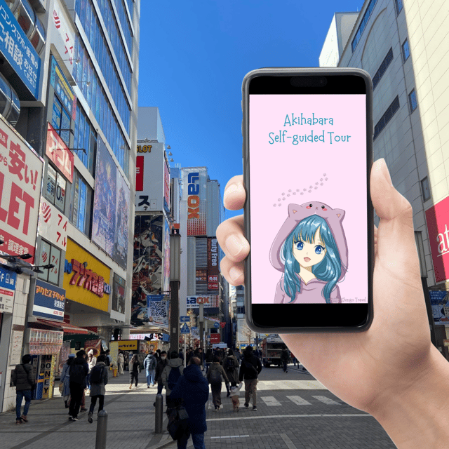 Akihabara: Self-Guided Tour with a special brochure - Price and What You Actually Get for $6