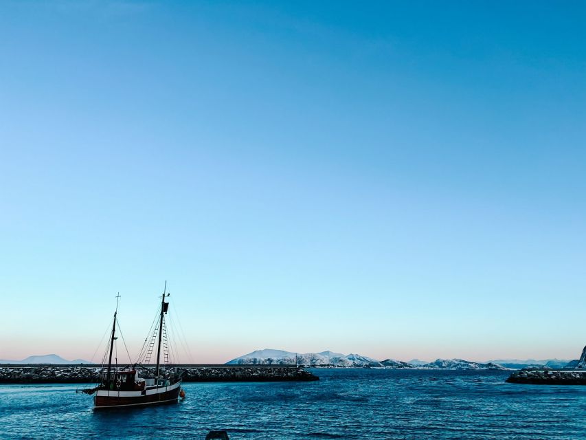 Ålesund: Ålesund and Surrounding Islands Audio Guide Tour - Key Highlights to Look For