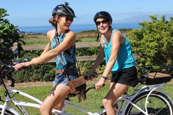 Aloha West Maui 2-Hour Self-Guided Electric Bike Tour - Beach Pauses and Sea Turtle Spotting on the Coast