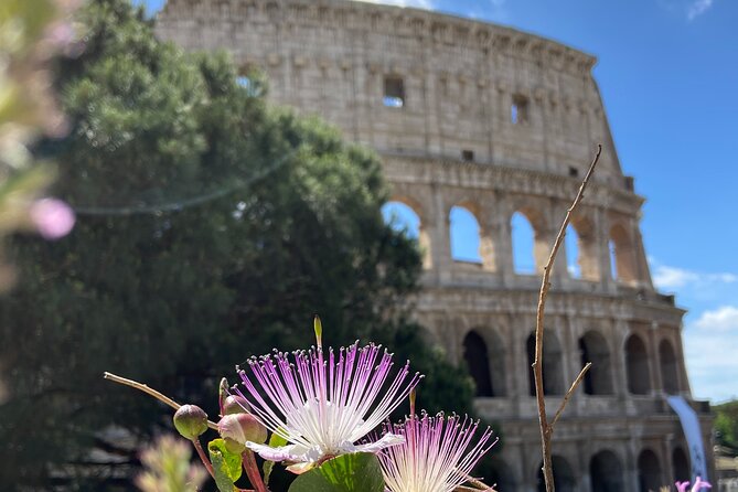 Ancient Rome: Colosseum + Digital Booklet and Audioguide - Digital Audioguide + VR: How This Product Brings Rome Closer