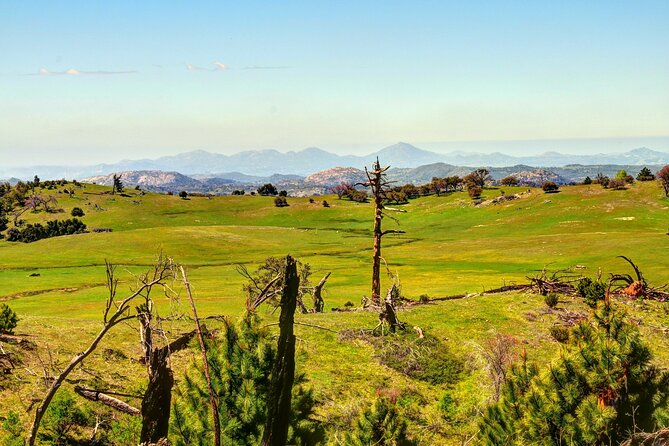 Apple Pies & Desert Skies: A Self-Guided Driving Tour - Palomar Observatory: the 200-inch Hale Telescope in a tight half hour