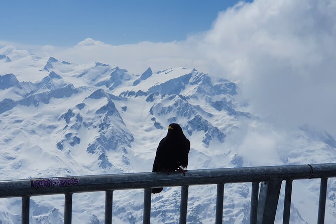 Attraction Ticket: Mt. Titlis by Train and Cableway from Lucerne - Price and value: what $277.15 per person is buying