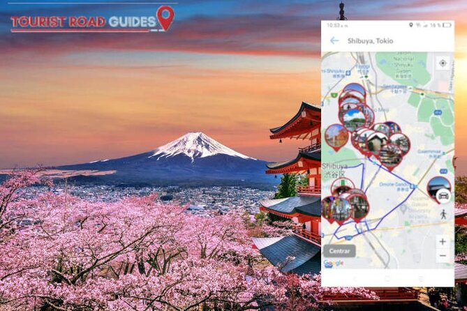 Audio Guide App Japan Tokyo Kyoto Takayama Kanazawa Nikko and others - Kyoto Day 2: North Kyoto temples with a stone-garden payoff