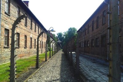 Auschwitz-Birkenau Self-Guided Visit from Krakow with Private Transfers - What you really get: private transfers plus self-guided museum time
