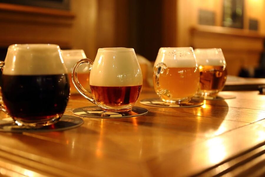 Austrian Beer Tasting and Self-Guided Tour of Vienna - Pairing Food With Beer: Don’t Skip This Part