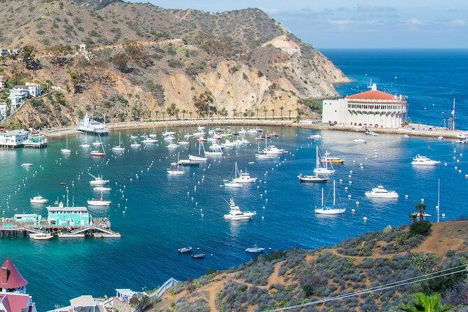 Avalon City: A Self-Guided Audio Tour - Using the App Offline: Set Yourself Up So the Tour Feels Effortless