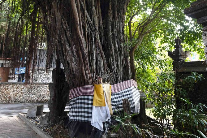 Backlanes and Hidden Sites: A Self-Guided Audio Tour in Seminyak - Who should book this self-guided Seminyak walk