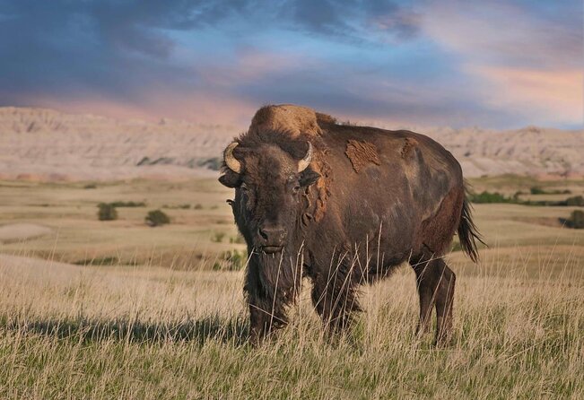 Badlands National Park Self-Guided Driving Audio Tour - Key takeaways before you drive