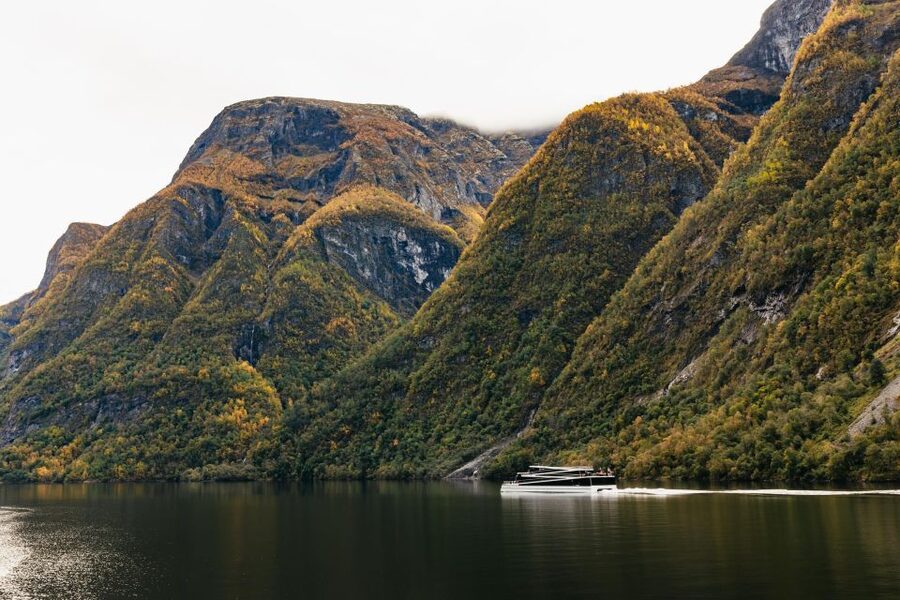 Bergen: Self-Guided Round-Trip Full-Day Excursion - Price and Logistics: Is $493 Worth It?