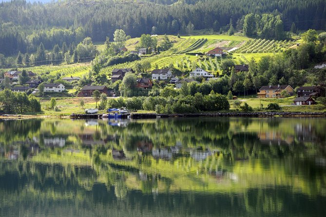 Bergen: Self-Guided Roundtrip (Sognefjord Cruise 5h & Flamsbana) - Fjord boat time and Eldfjord/Norheimsund scenery: how the cruising portion feels