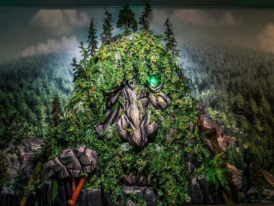 Bergen: Troll Museum Entry Ticket + audio guide - Tickets, Validity, and How Long You Should Plan