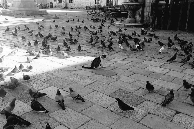 Beyond the Walls: A Historical Dubrovnik Audio Tour - Luža Square clock and Gundulić’s Square: where daily life shows up
