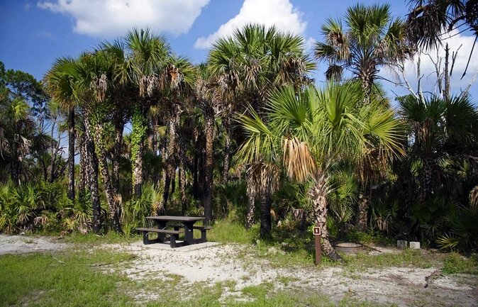Big Cypress National Preserve Self Guided Driving Audio Tour - Quick hit highlights