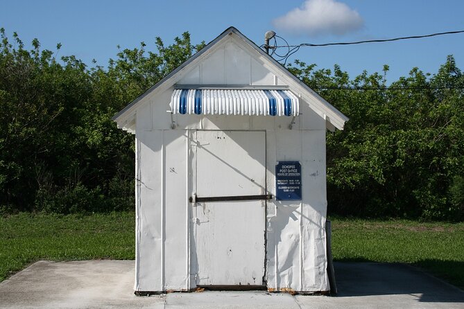 Big Cypress National Preserve Self Guided Driving Audio Tour - Tree Snail Hammock Trail and H.P. Williams Roadside Park: short walks, big odds of wildlife