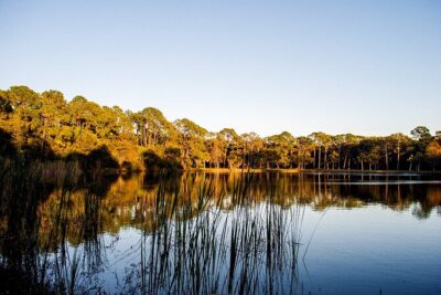 Big Cypress National Preserve Self Guided Driving Audio Tour - US Highway 41 to Miccosukee Indian Village: culture first, then swamp