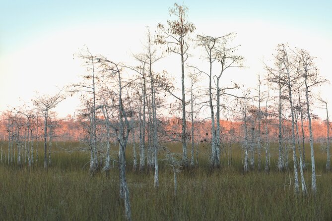 Big Cypress National Preserve Self Guided Driving Audio Tour - Gator Hook Trail and Kirby Storter Roadside Park: wet feet are part of the deal