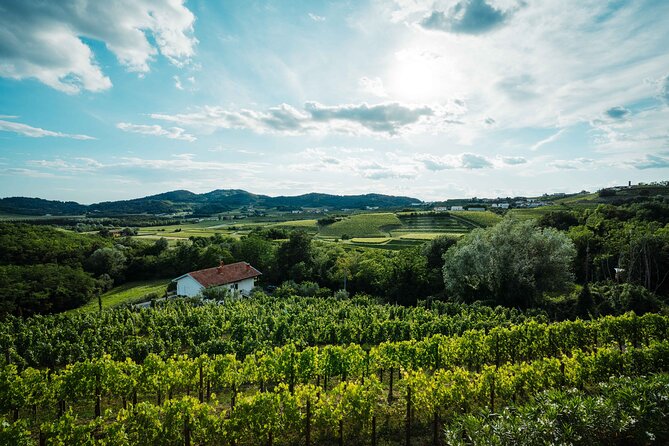 Bike Slovenia Green: Alps to Adriatic 8 days cycling tour - Bled day: Triglav-country views plus the classics