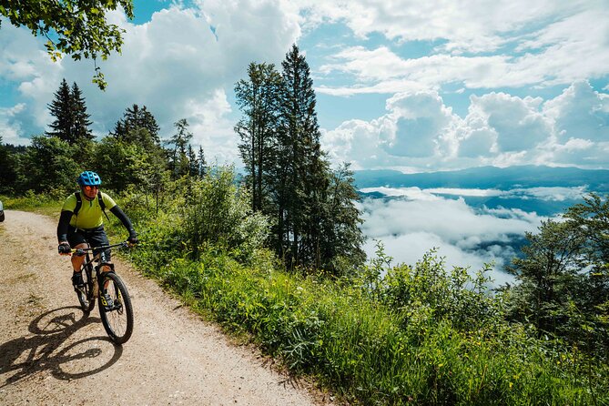 Bike Slovenia Green: Alps to Adriatic 8 days cycling tour - Prosciutto, caves, and Lipica horses: karst day with real personality