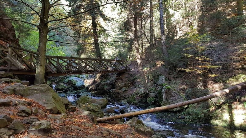 Black Forest: Ravenna Gorge Hike, Self-Guided - Key Things I’d Mark on Your Map