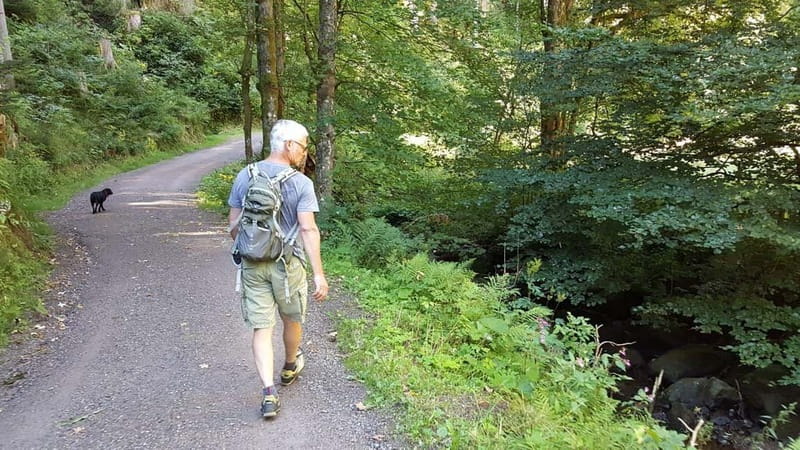 Black Forest: Ravenna Gorge Hike, Self-Guided - Getting to Hinterzarten: the train hop that keeps this trip easy