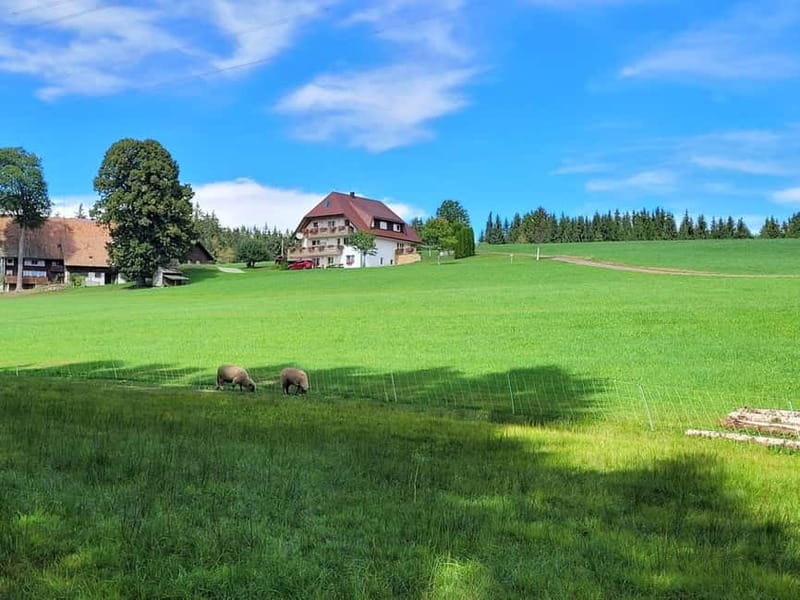 Black Forest: Ravenna Gorge Hike, Self-Guided - The hike portion: waterfalls, streams, and an 8 km day that can surprise you