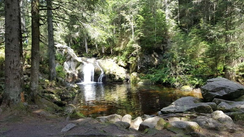Black Forest: Ravenna Gorge Hike, Self-Guided - Hinterzarten after the hike: photos, food, and an easy return to civilization
