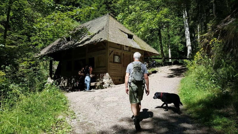 Black Forest: Ravenna Gorge Hike, Self-Guided - How the app behaves: what to expect (and what to watch)
