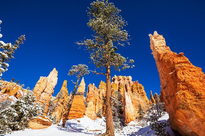 Bryce Canyon National Park Self-Guided Driving Audio Tour - The route size and timing: over 60 miles, 30+ stops, 1–2 hours (plus photos)