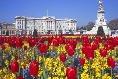 Buckingham Palace and Windsor Castle Self-Guided Tour with Coach - Lunch Break Reality: The 1:30 Transfer Gap
